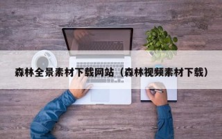东阳森林全景素材下载网站（森林视频素材下载）